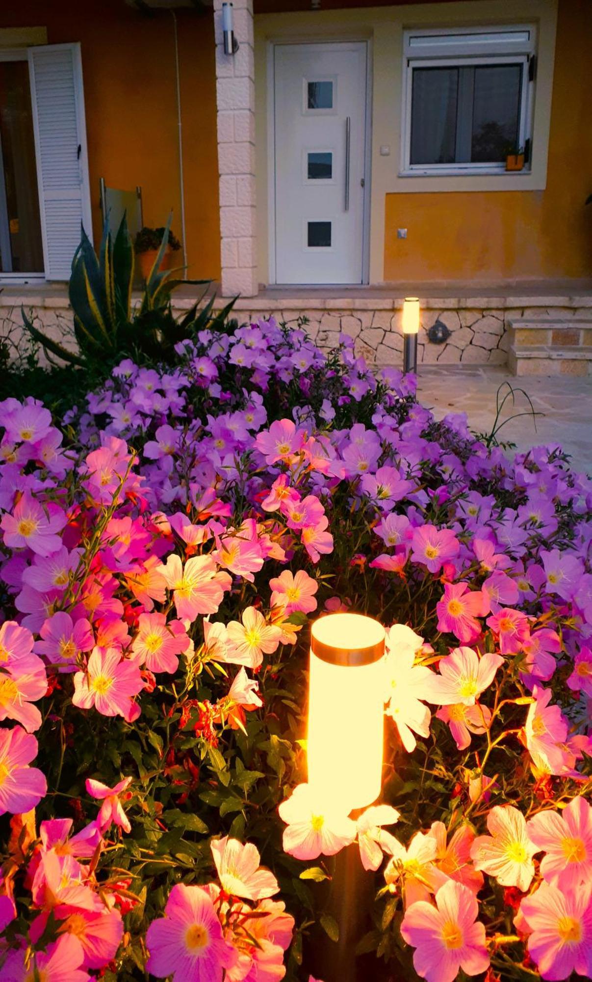 Iris Apartment Near Corfu Town Kontokali Dış mekan fotoğraf