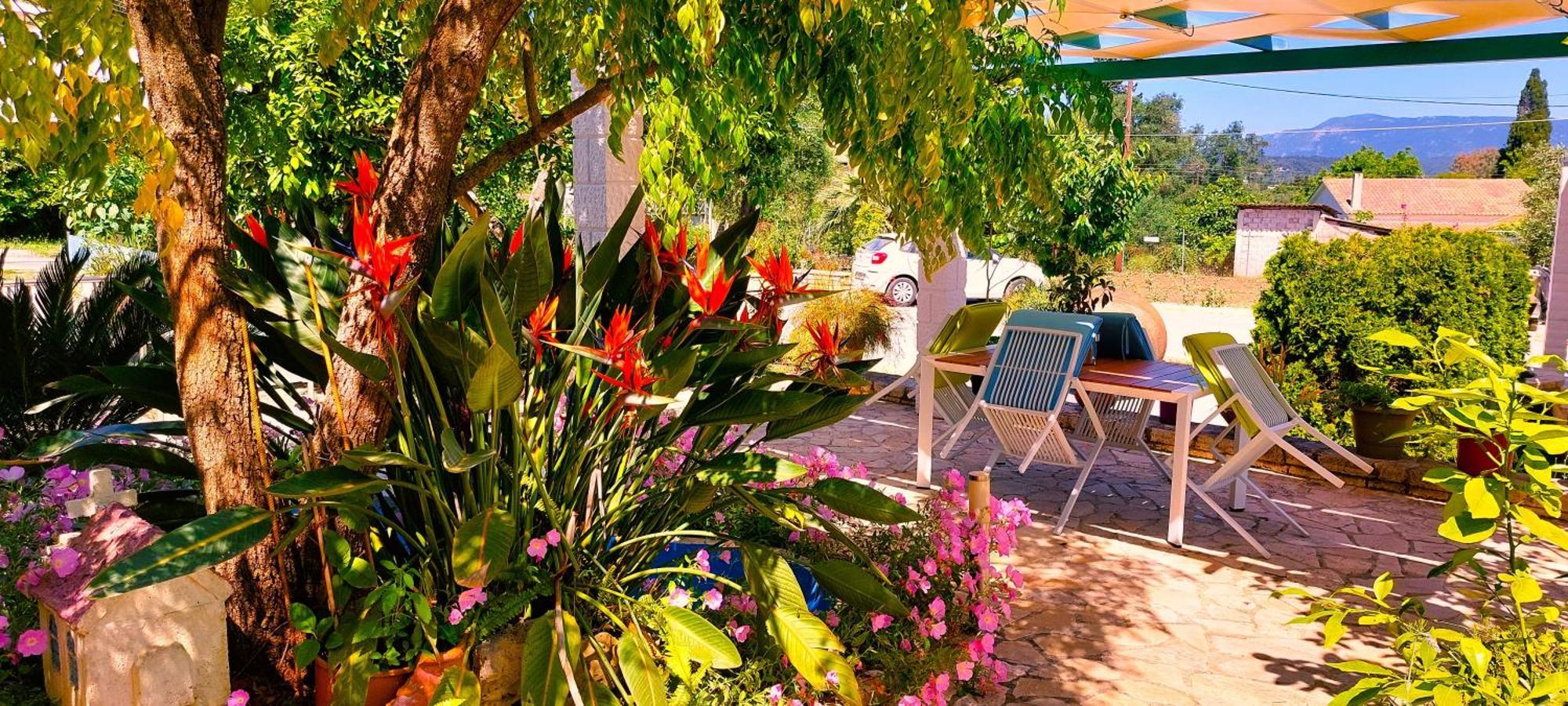 Iris Apartment Near Corfu Town Kontokali Dış mekan fotoğraf